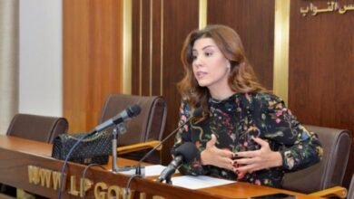 صورة توضيحية - بولا يعقوبيان …. مستمرون بحملة دفى رغم كل الصعاب