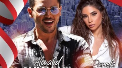 صورة توضيحية - النجم الوليد الحلاني في حفلٍ ضخم من تنظيم Luxury Enteainment بمناسبة عيد الإستقلال اللبناني