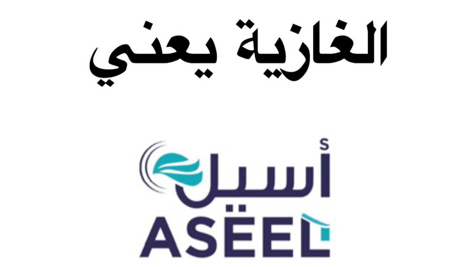 صورة مميزة: شركة أسيل تكتسح سوق المواد الغذائية في الغازية