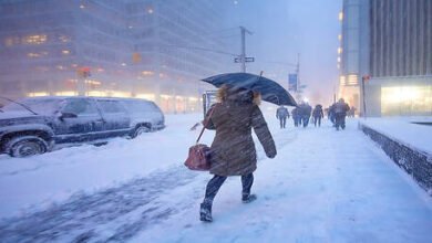 صورة توضيحية - عمدة نيويورك للسكان الزموا المنزل هذا يوم جيد لصنع طفل