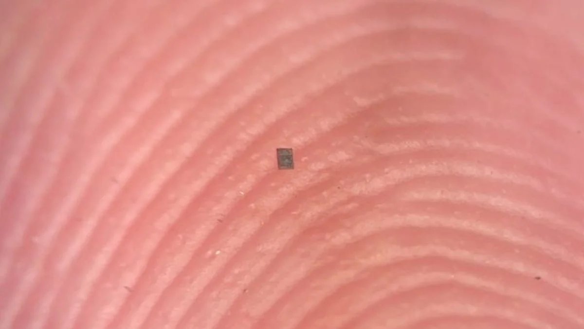 أصغر روبوت قابل للبرمجة في العالم بالكاد يمكن رؤيته ScienceAle - صورة مميزة صورة مميزة: أصغر روبوت قابل للبرمجة في العالم بالكاد يمكن رؤيته ScienceAle
