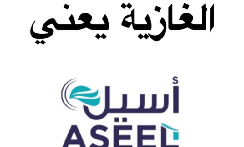 شركة أسيل تكتسح سوق المواد الغذائية في الغازية
