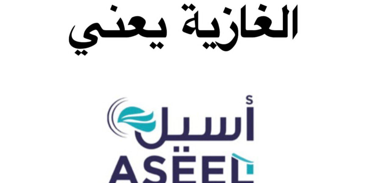 صورة مميزة: شركة أسيل تكتسح سوق المواد الغذائية في الغازية