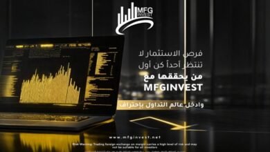 ما هي الأدوات المالية التي توفرها MFG INVEST للتداول العالمي؟